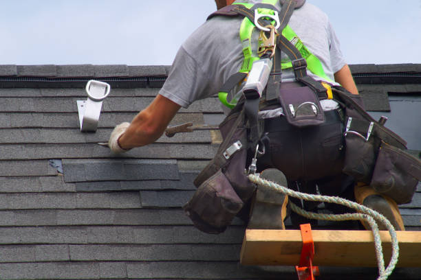 Best Roof Leak Repair  in Nitro, WV