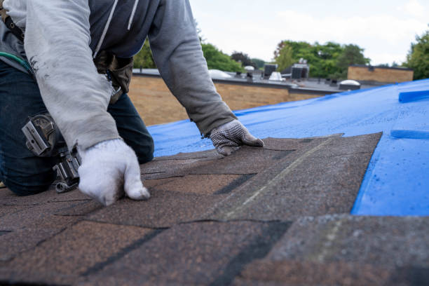 Best Metal Roofing Contractor  in Nitro, WV