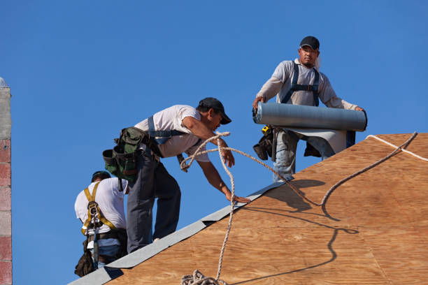 Best Roof Maintenance Services  in Nitro, WV