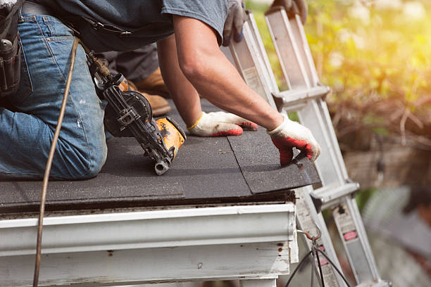 Best Emergency Roof Repair  in Nitro, WV