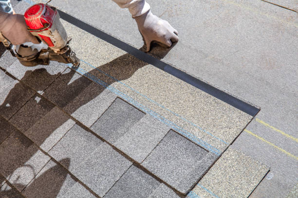 Best Local Roofing Companies  in Nitro, WV