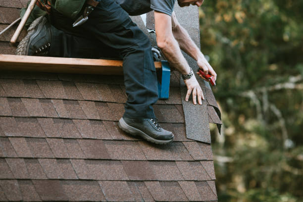 Best Gutter Installation and Roofing  in Nitro, WV